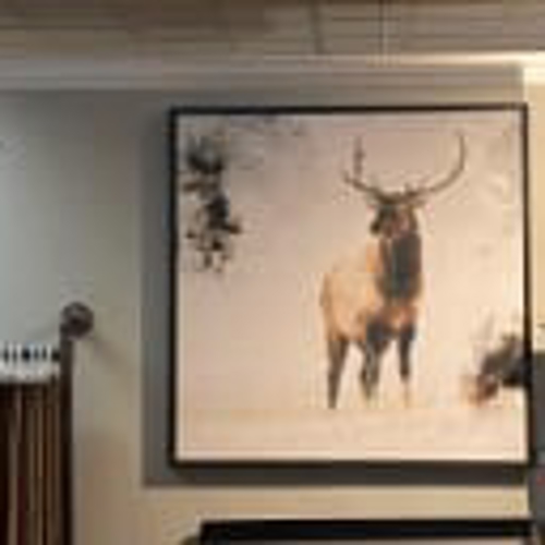 Wall Graphics